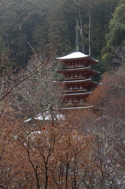e0039744_2251479.jpg