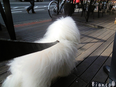 d0118050_12212818.jpg