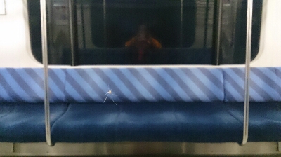 b0178557_11143335.jpg