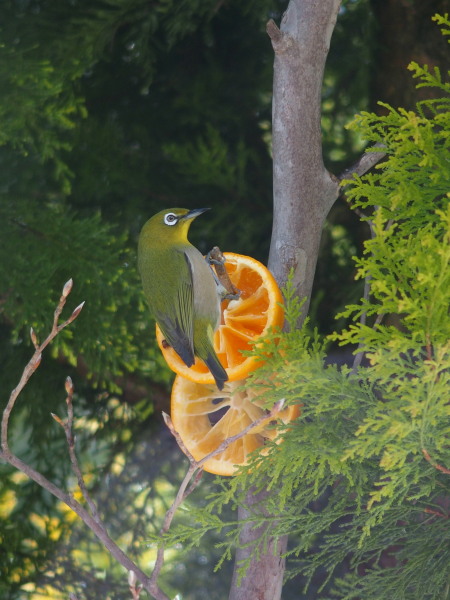 c0122670_22293953.jpg