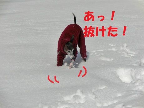 f0223972_10334831.jpg