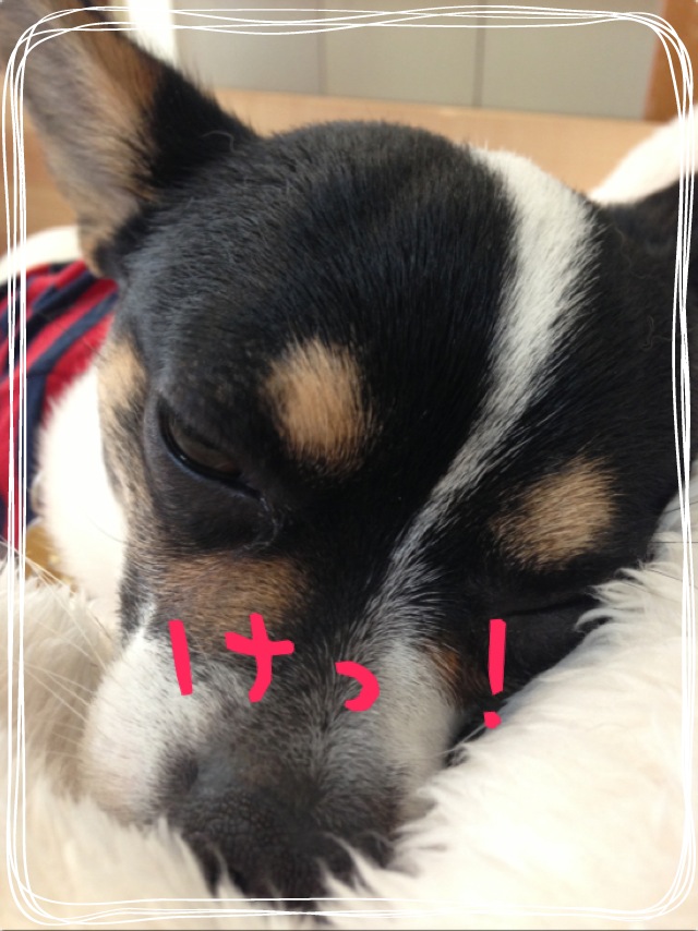 f0248782_11321858.jpg