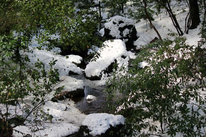 a0127090_2102070.jpg