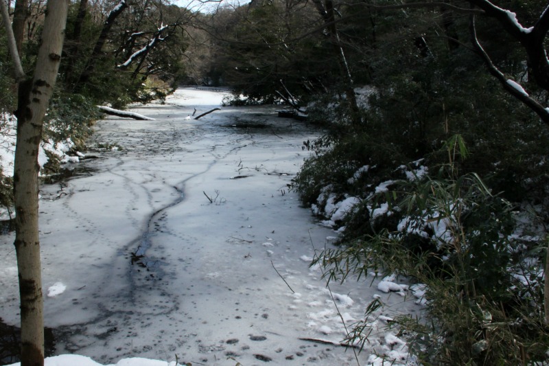 a0127090_21215794.jpg