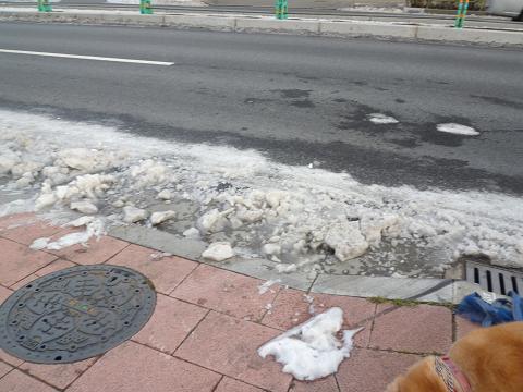 c0123890_2159504.jpg