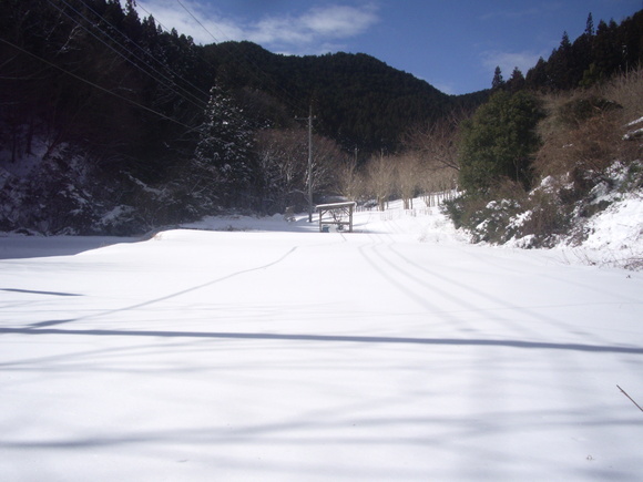 e0185092_20211471.jpg