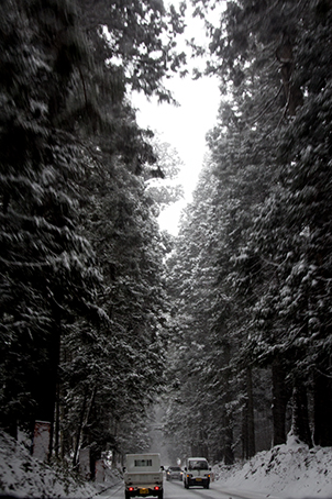 c0096393_21515262.jpg