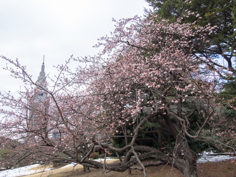 f0224100_2214016.jpg