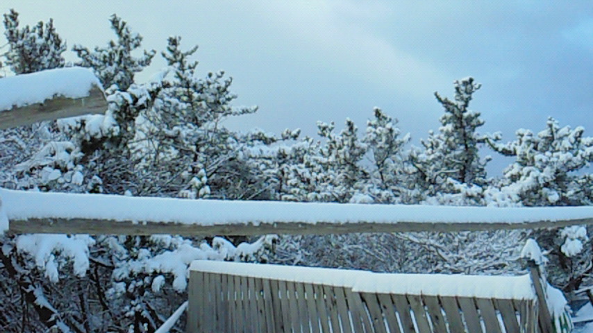 d0149105_11213127.jpg