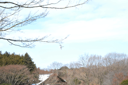 a0278809_1835361.gif