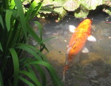c0202613_036104.jpg