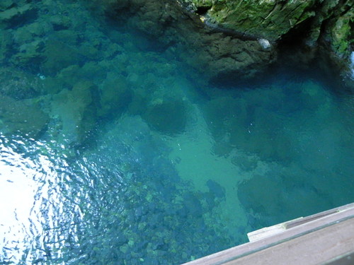 e0238313_1233575.jpg
