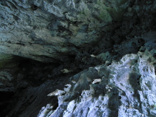 e0238313_1235143.jpg
