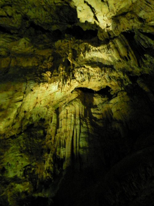 e0238313_1242164.jpg