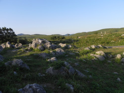 e0238313_12461790.jpg
