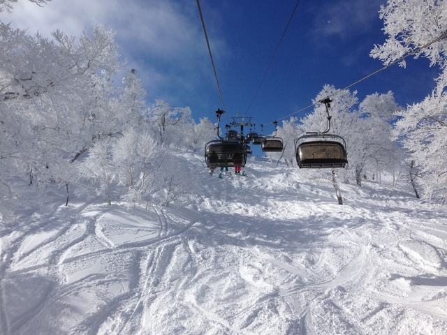 f0225414_2347177.jpg