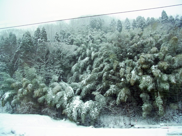 e0083517_6103125.jpg