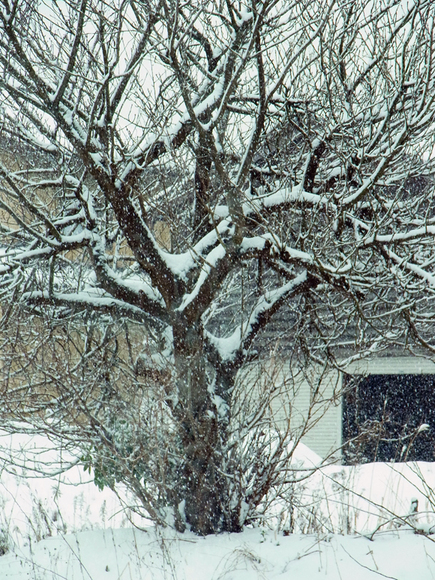 e0083517_691317.jpg