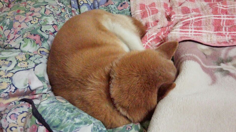 c0060620_2155462.jpg