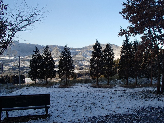 f0031420_893732.jpg