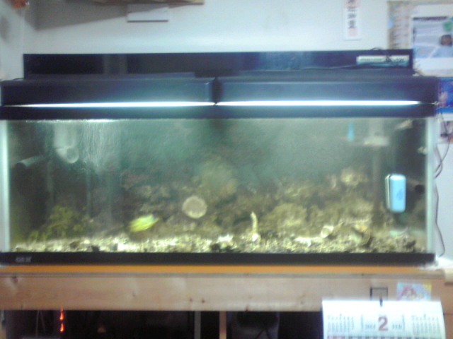 a0291521_7534139.jpg
