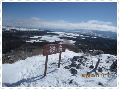 f0193521_1733117.jpg