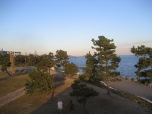 e0002927_1104843.jpg