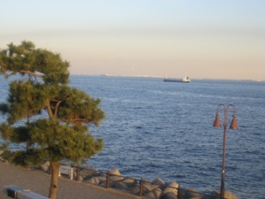 e0002927_112259.jpg
