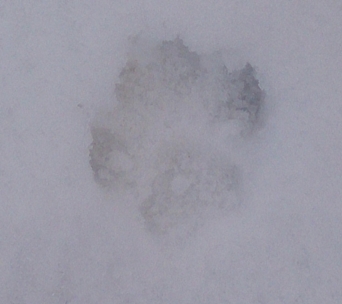 f0195543_20291375.jpg
