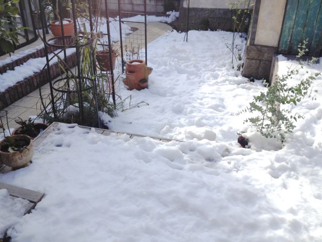 d0319745_8485170.jpg