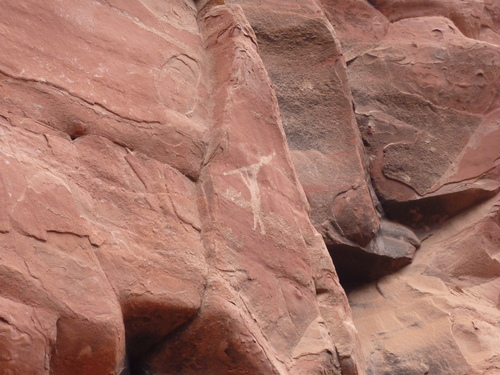 a0308646_595848.jpg