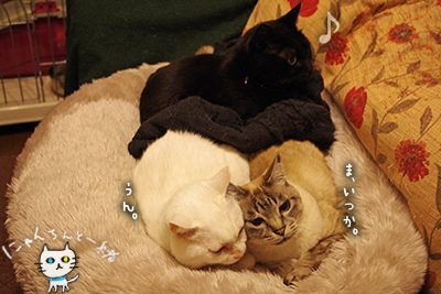 e0031853_21461963.jpg