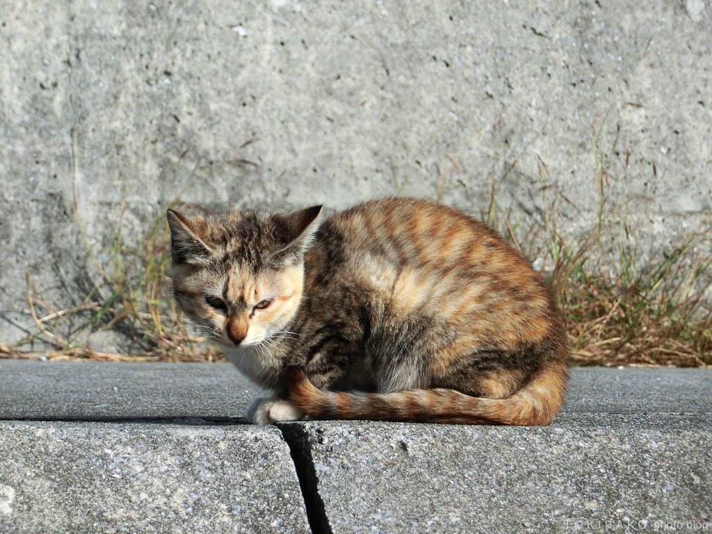 d0100156_23565956.jpg