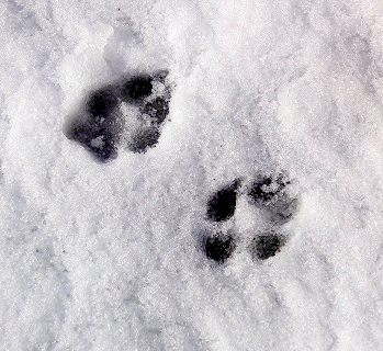 c0097558_1154537.jpg