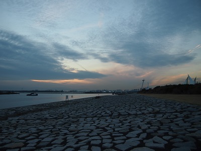 b0017559_82485.jpg