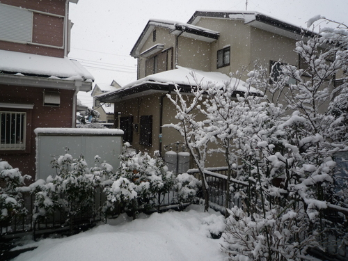 f0305275_201065.jpg