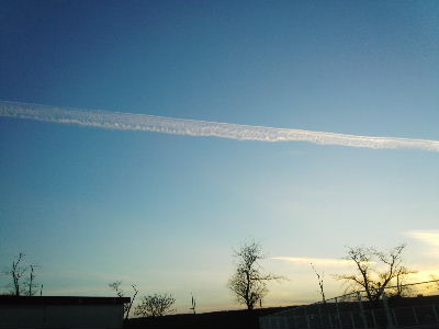 f0005081_21471279.jpg