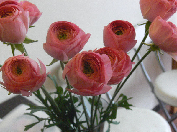 e0140986_11111079.jpg