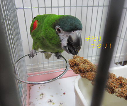 f0234590_1015158.png