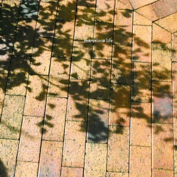 c0191092_185818100.jpg