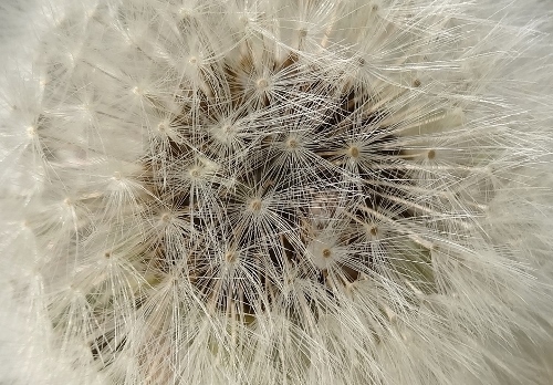 a0125598_21372890.jpg