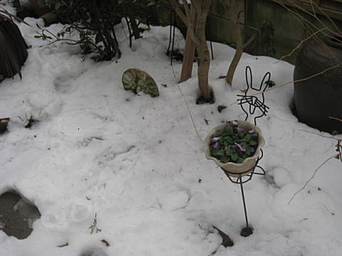 d0046702_11283423.jpg