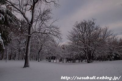 e0145805_19211018.jpg