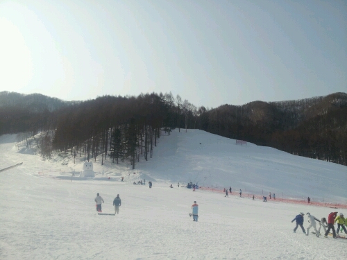 a0183009_9534100.jpg