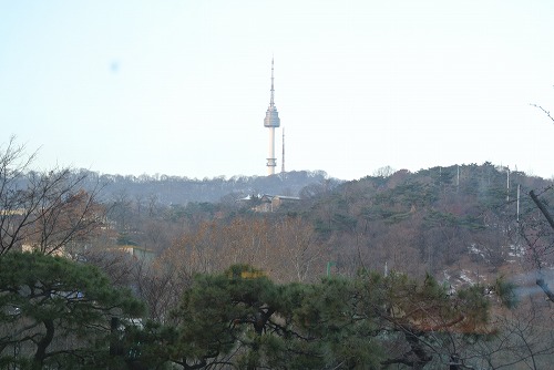 f0199511_2057289.jpg