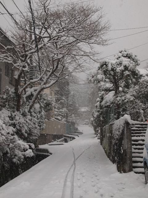 b0177323_1425436.jpg
