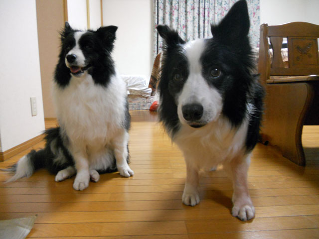 d0059230_933523.jpg