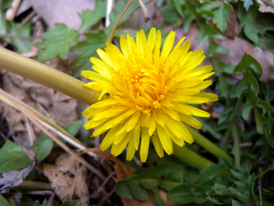 e0272335_21051100.jpg