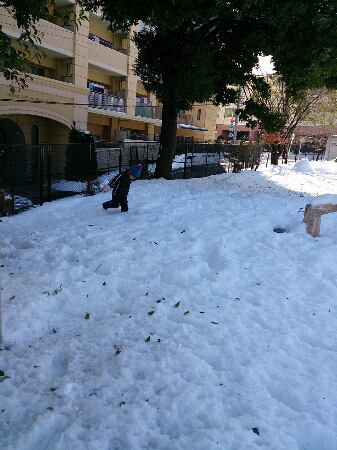 e0059938_8443180.jpg