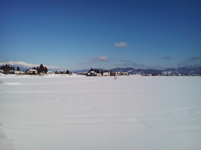 a0272241_2042425.jpg